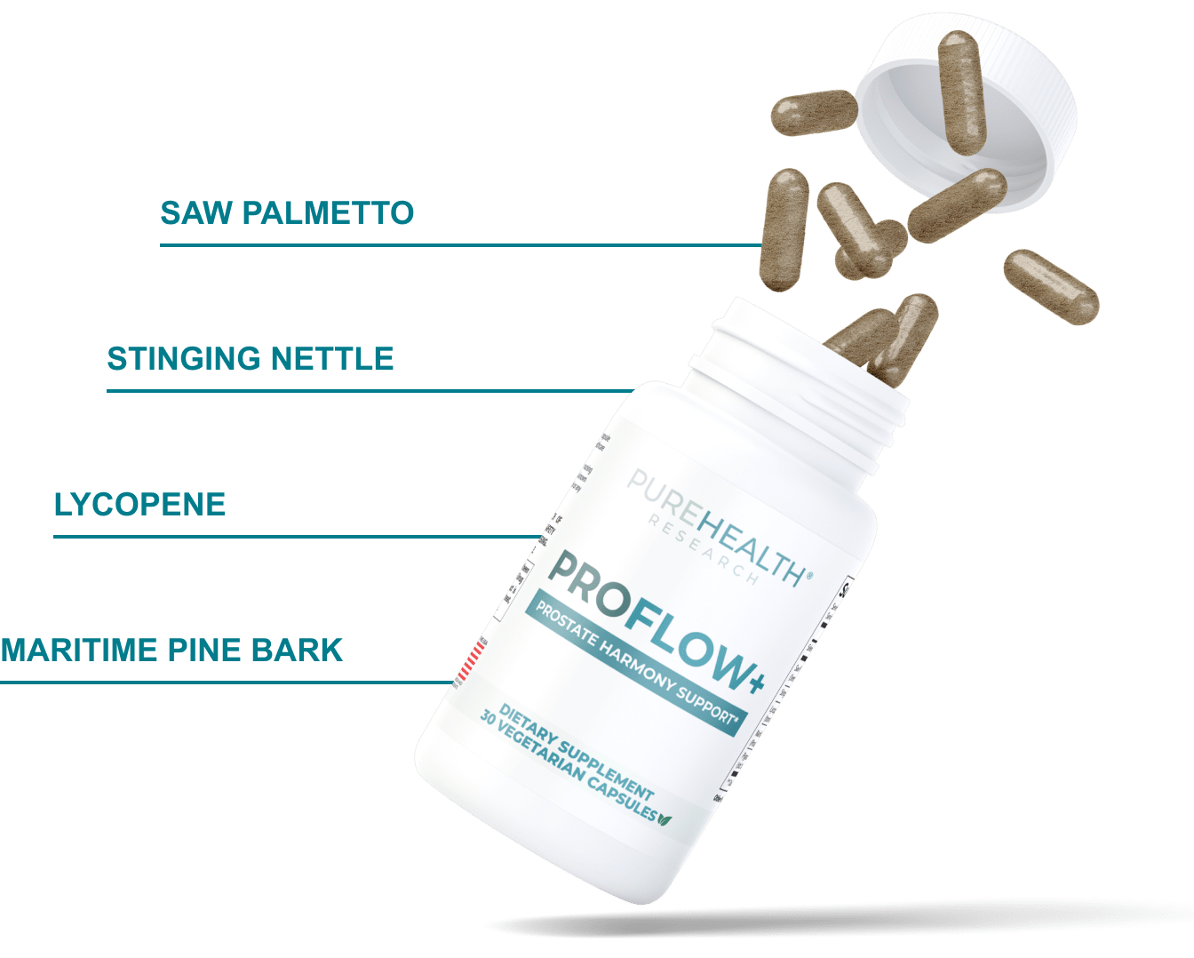 ingredients + bottle